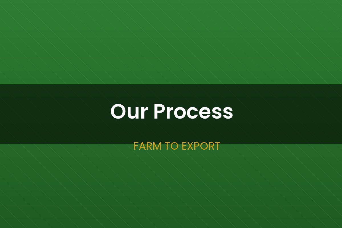 Our process