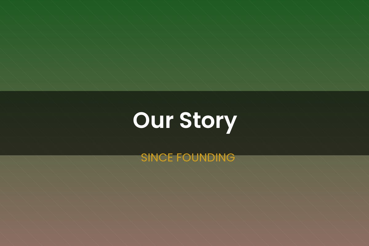 Our story