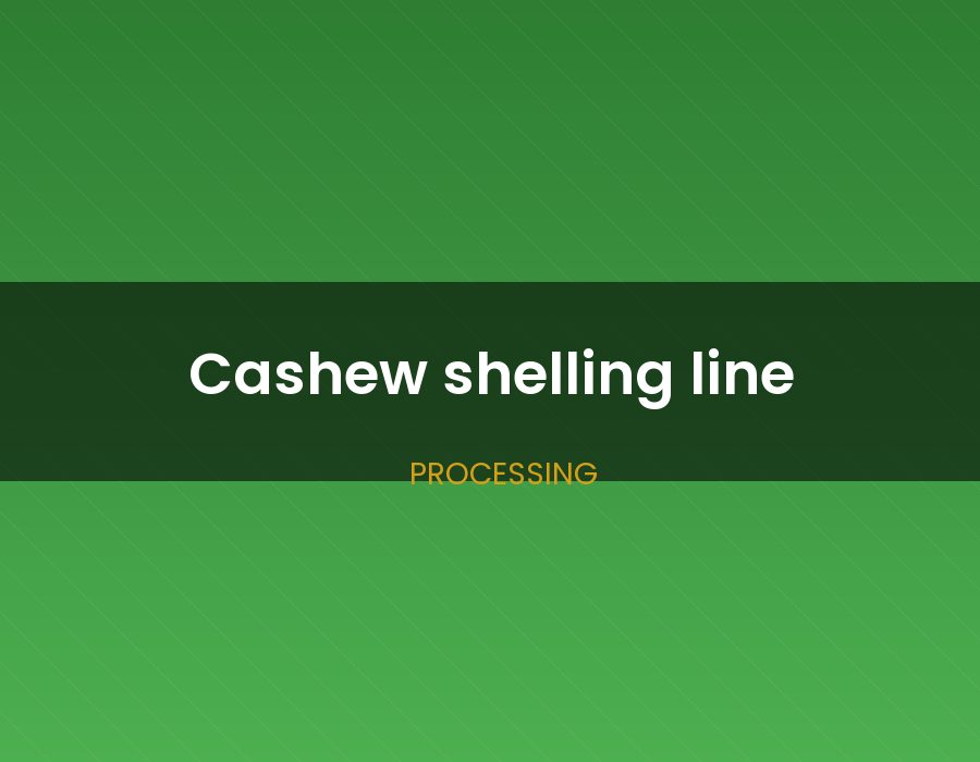 Cashew shelling line