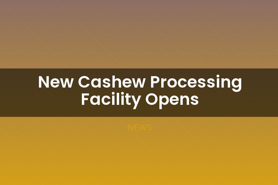 New Cashew Processing Facility Opens